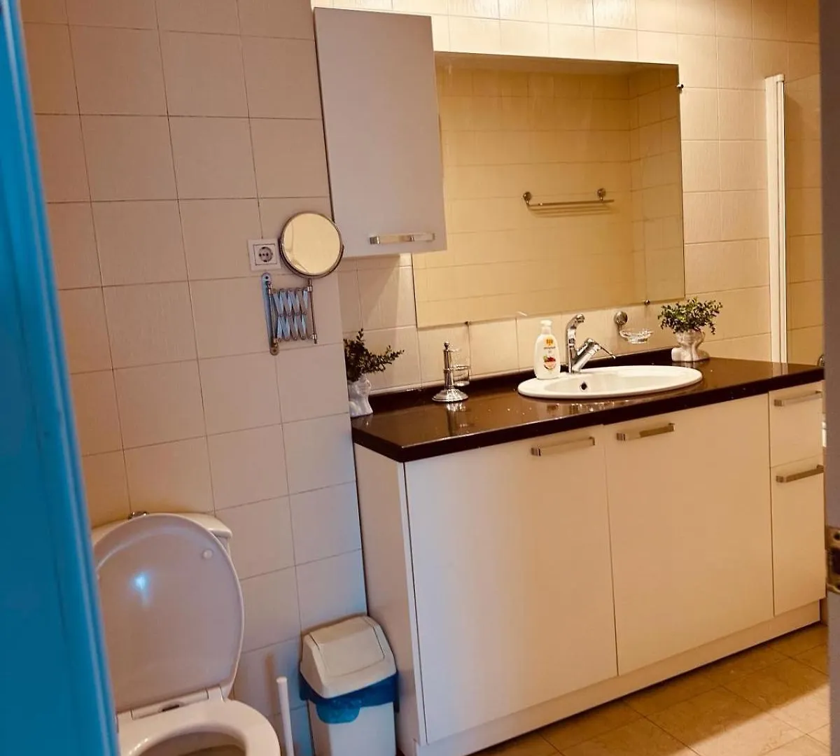 Top Home Residence Unirii Center Bukarest Lägenhet